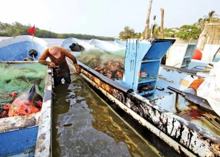 Derrame daña costa tabasqueña; Pemex acepta culpa en Dos Bocas