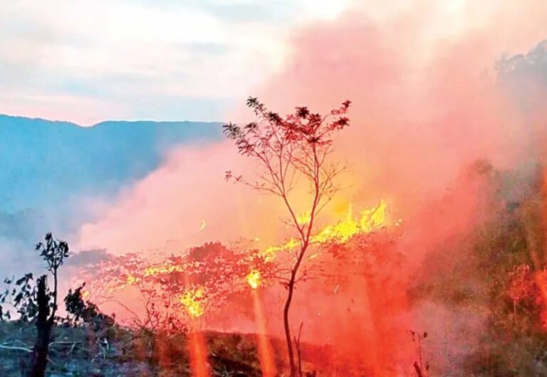 Cobran fuerza los incendios; hay activos 112, ubicados en 22 entidades