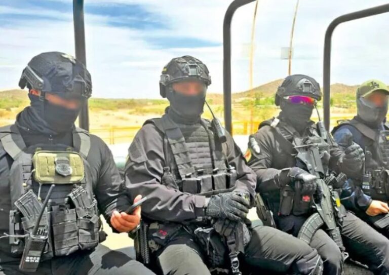EU actúa en operativo antinarco en Sinaloa
