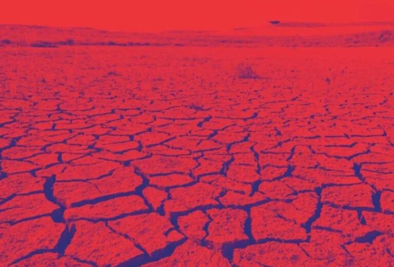 Descalabro ambiental, “madre de las crisis”; aún estamos a tiempo, advierten