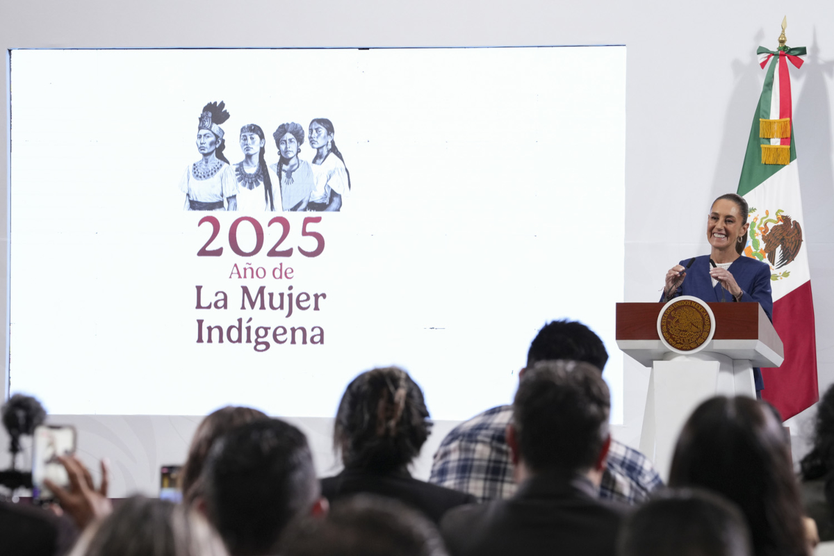 sheinbaumplanmx300525