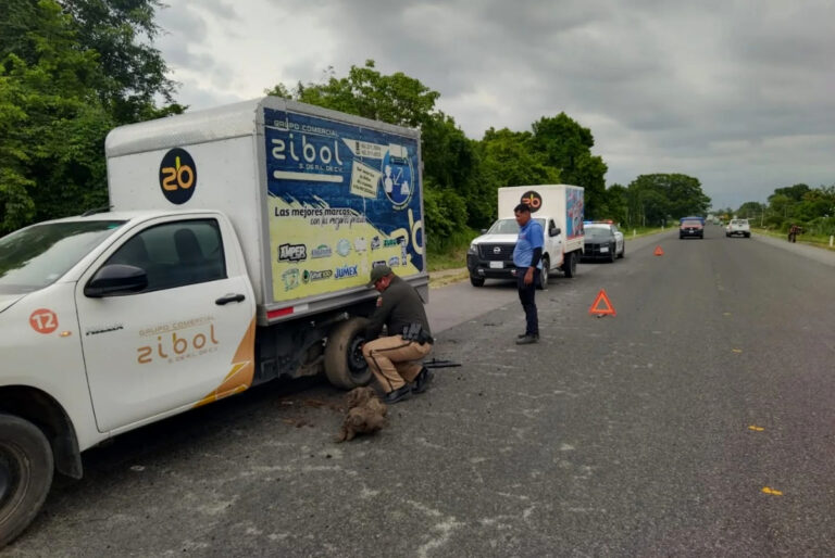 SSP evita situaciones de riesgo y garantiza seguridad vial a la ciudadanía de Chiapas