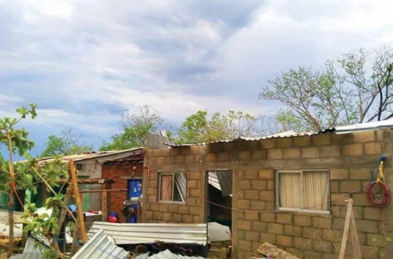 Claman ayuda tras la devastación de Erick; El carrizo, Oaxaca