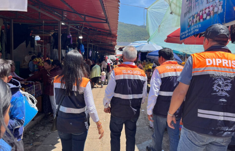 Salud exhorta a la población a no consumir hongos silvestres si desconoce su procedencia