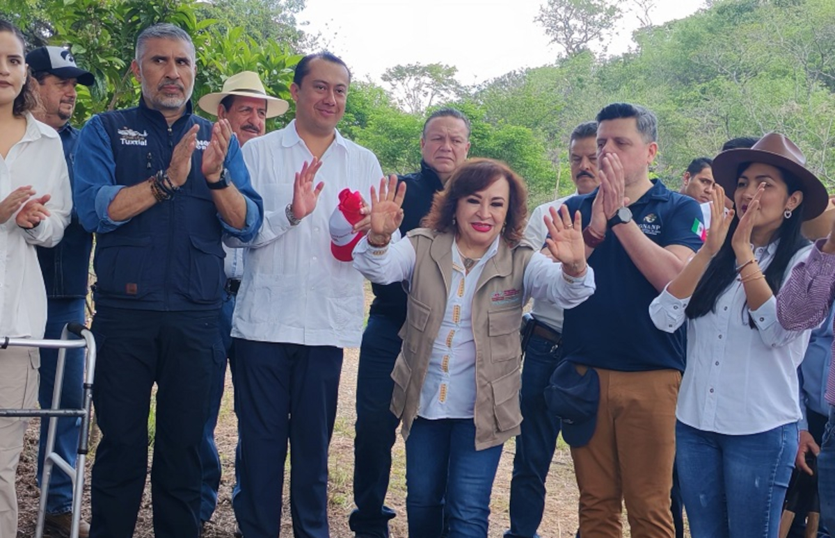 semahnreforestacion060625
