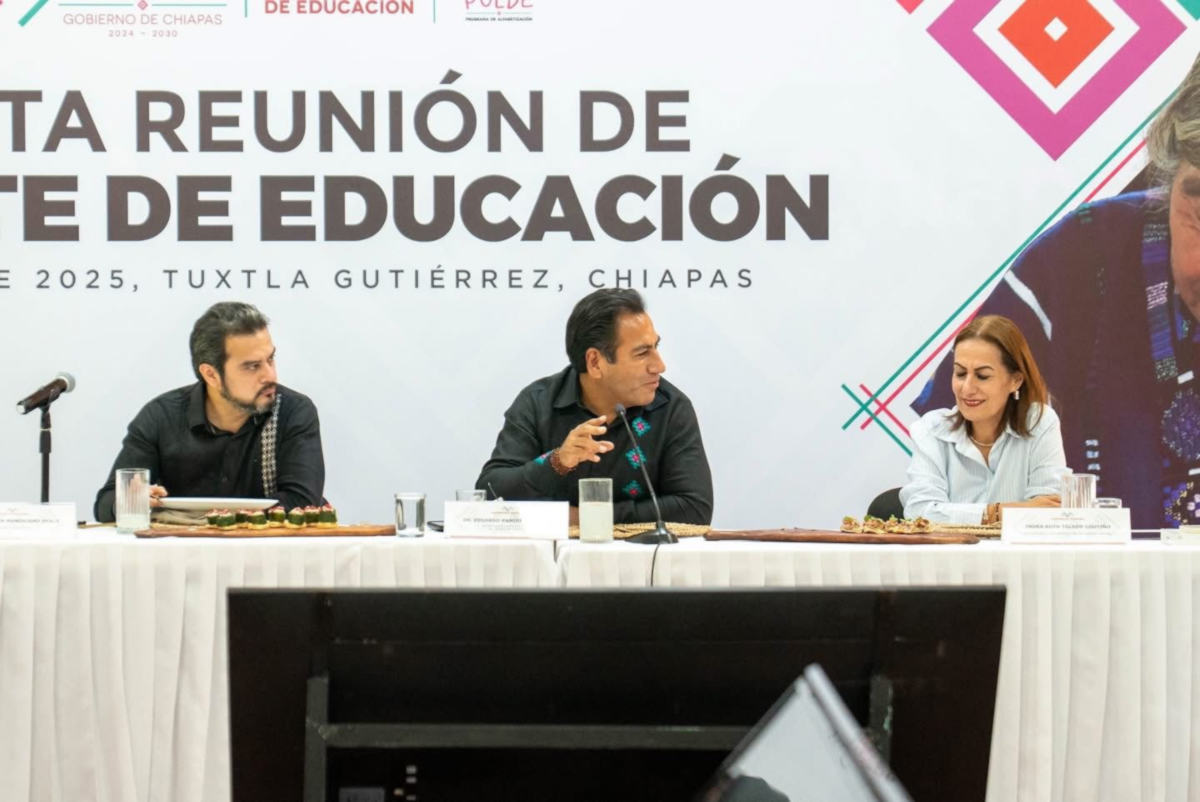 eralfabetizacionchis280825