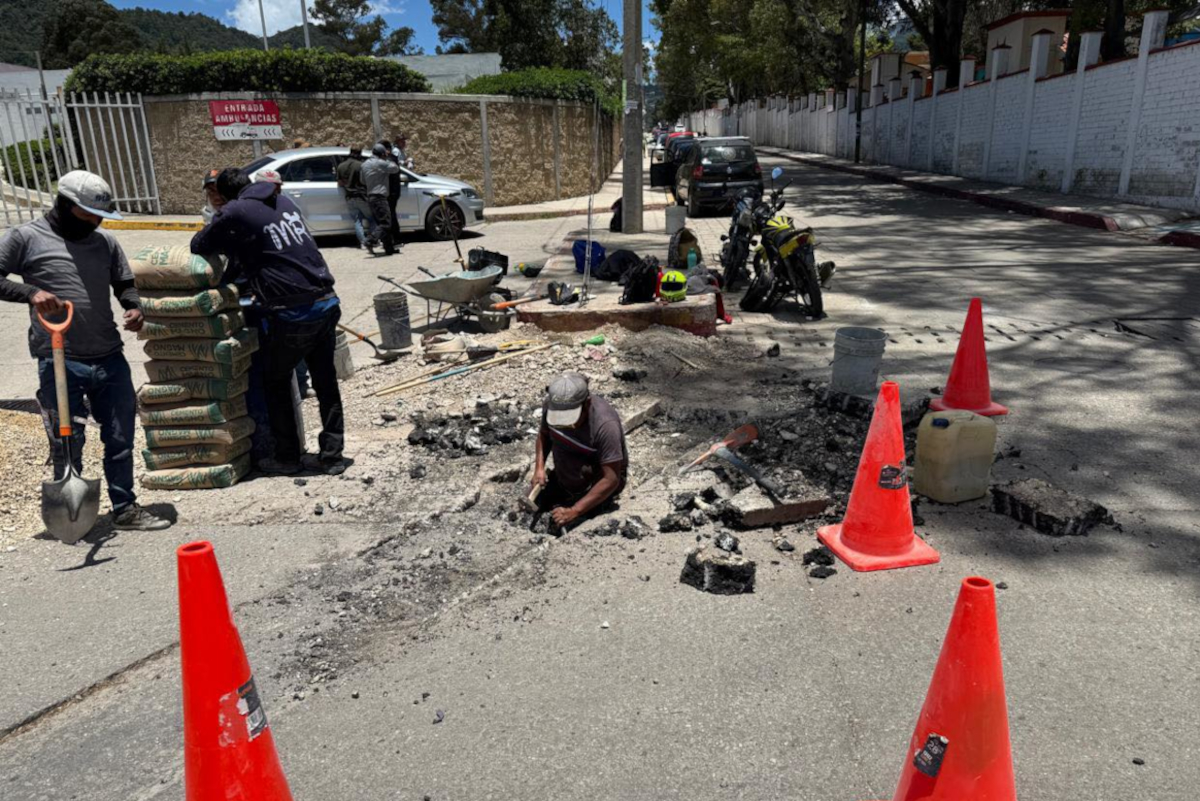 sclcbacheo040825