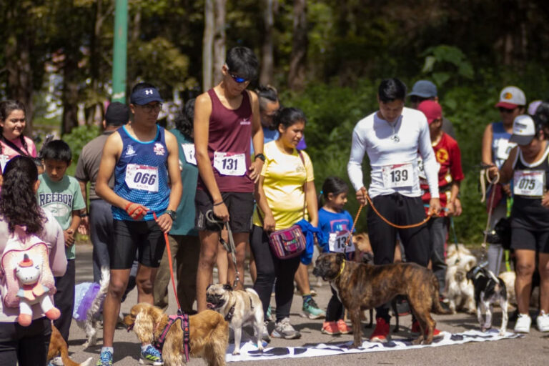 Se realizará la Carrera Perrotón 2025 en San Cristóbal de Las Casas