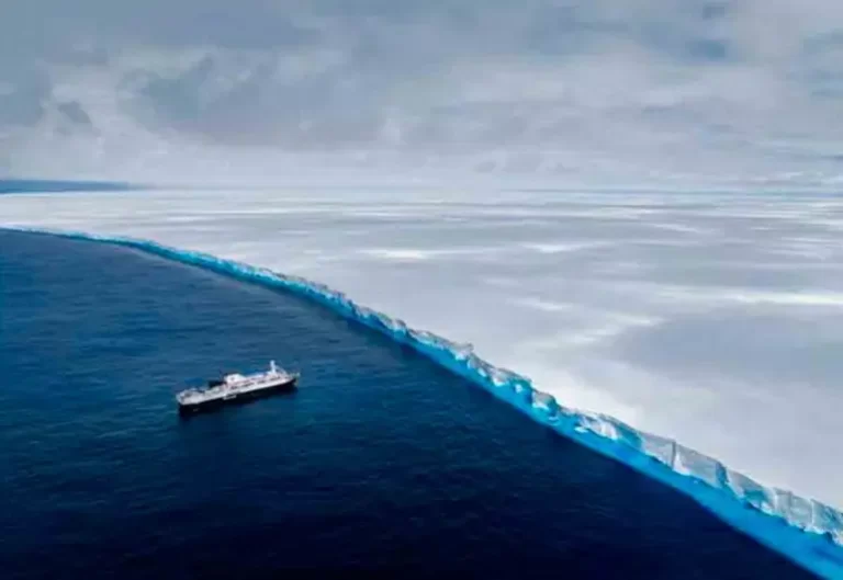 Colosal iceberg más longevo del mundo se desintegra tras viajar 40 años por el Atlántico
