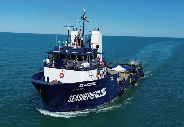 crucerovaquitamarina030925