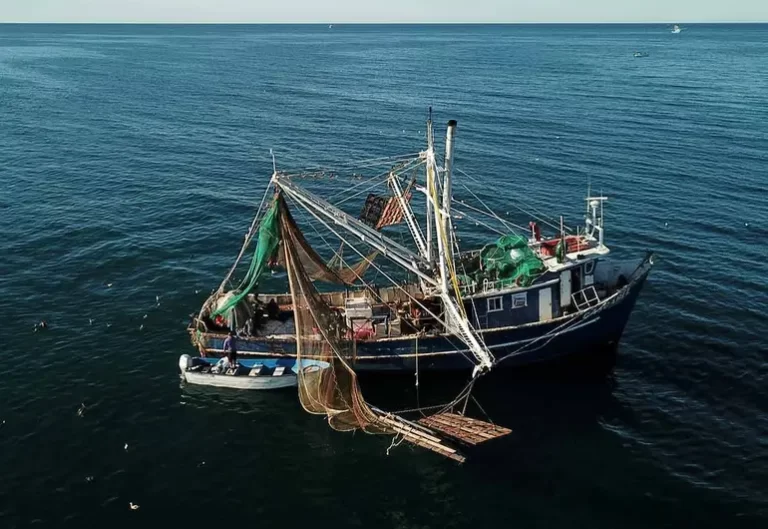 Impone EU embargo comercial contra 21 pesquerías mexicanas por muerte de especies