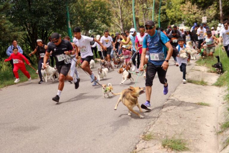 Éxito total en el Perrotón 2025 ‘Tradición Coleta’ en San Cristóbal