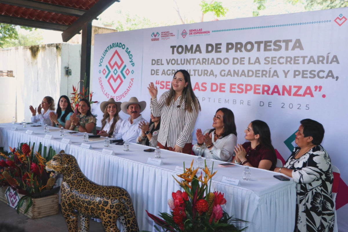 voluntariadopje240925