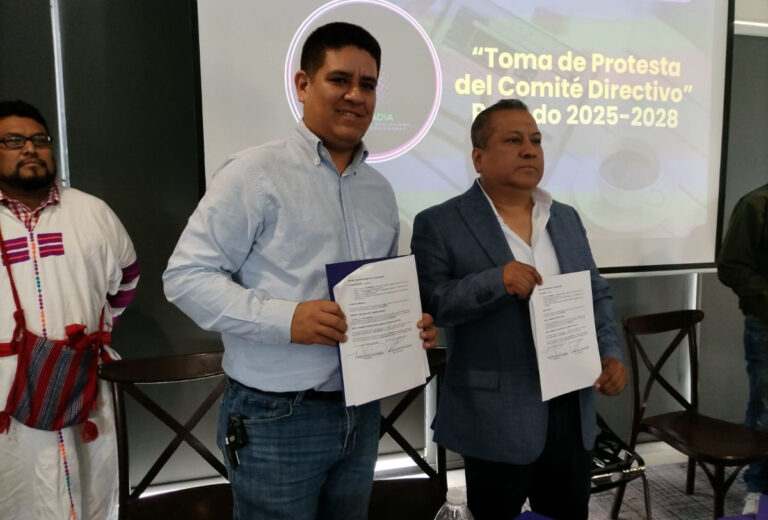 Nace Comisión de Plataformas Digitales e Inteligencia Artificial, la primera a nivel nacional