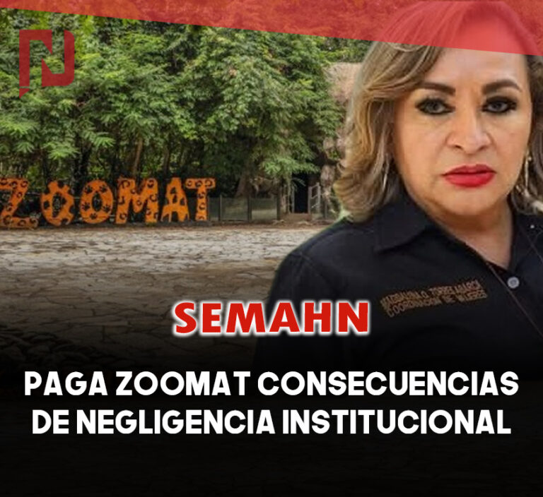 EN LA MIRA | Paga Zoomat consecuencias de negligencia institucional
