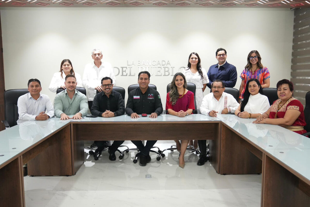 eradiputados021025