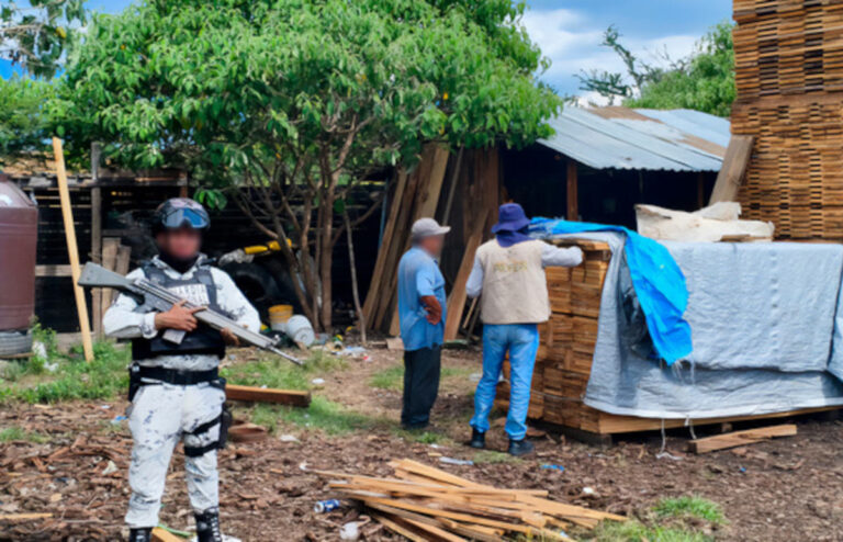 Clausura Profepa dos aserraderos en Chiapas; decomisa 2.20 m3 de madera rollo