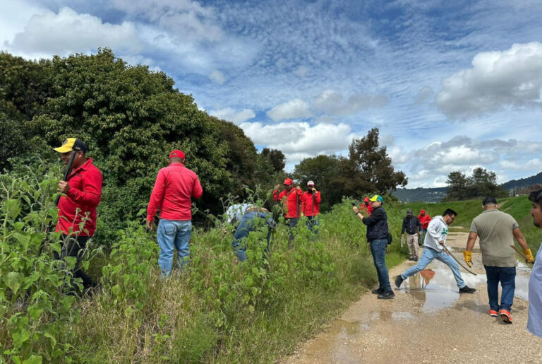 Reforestan el margen del Río Amarillo