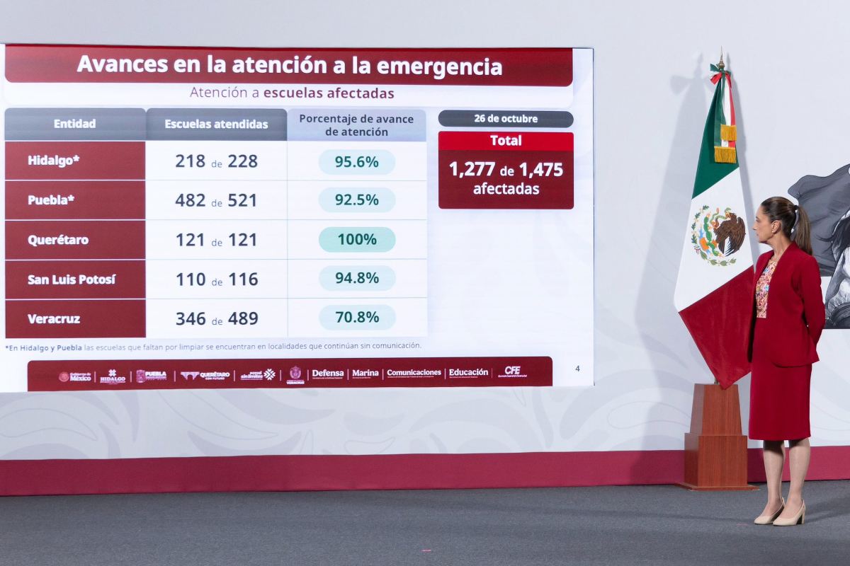 sheinapoyosafectados281025