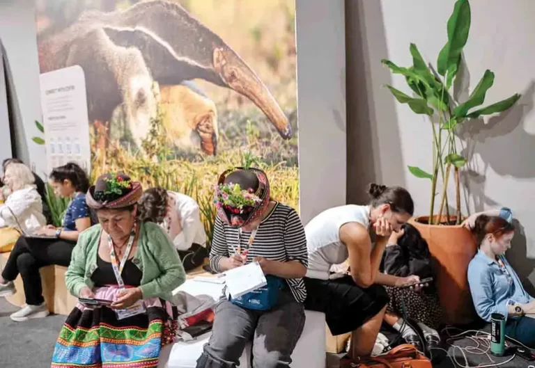 Avalan iniciativa contra las fake news climáticas