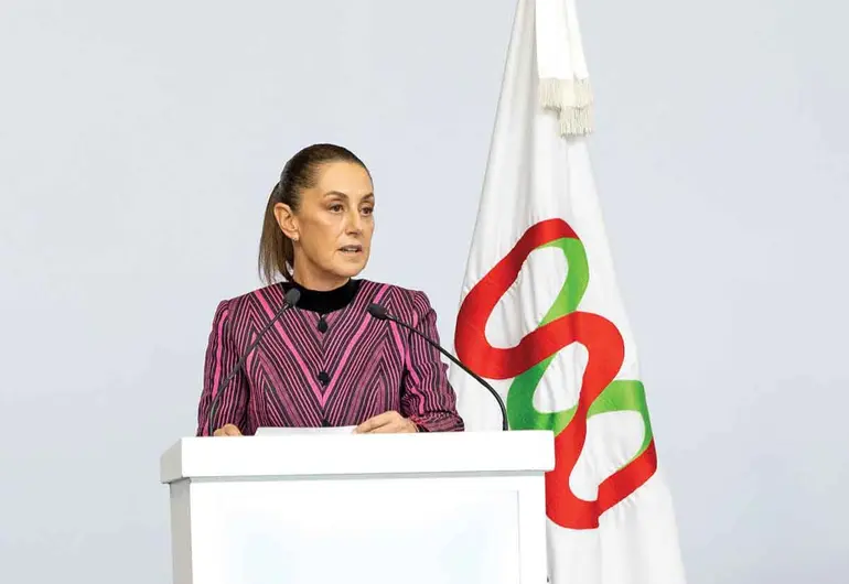 sheindebatereformaelectoral131125