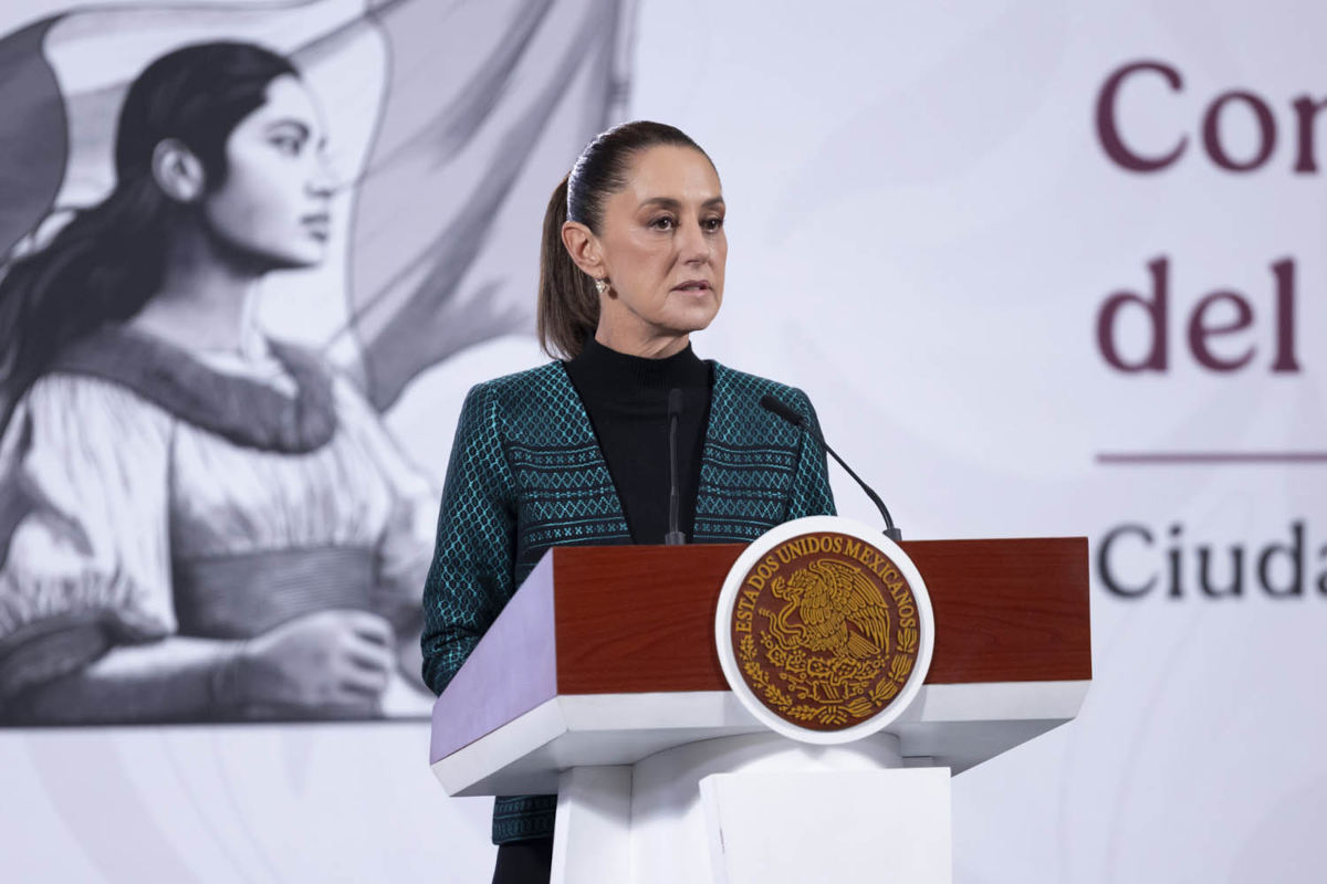 sheinplanmichoacan051125