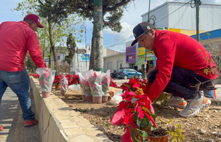 San Cristóbal embellece sus principales accesos con motivo de la navidad