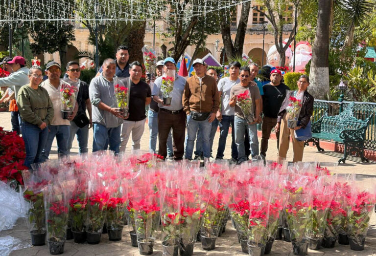 Artesanas y artesanos donan más de 400 nochebuenas