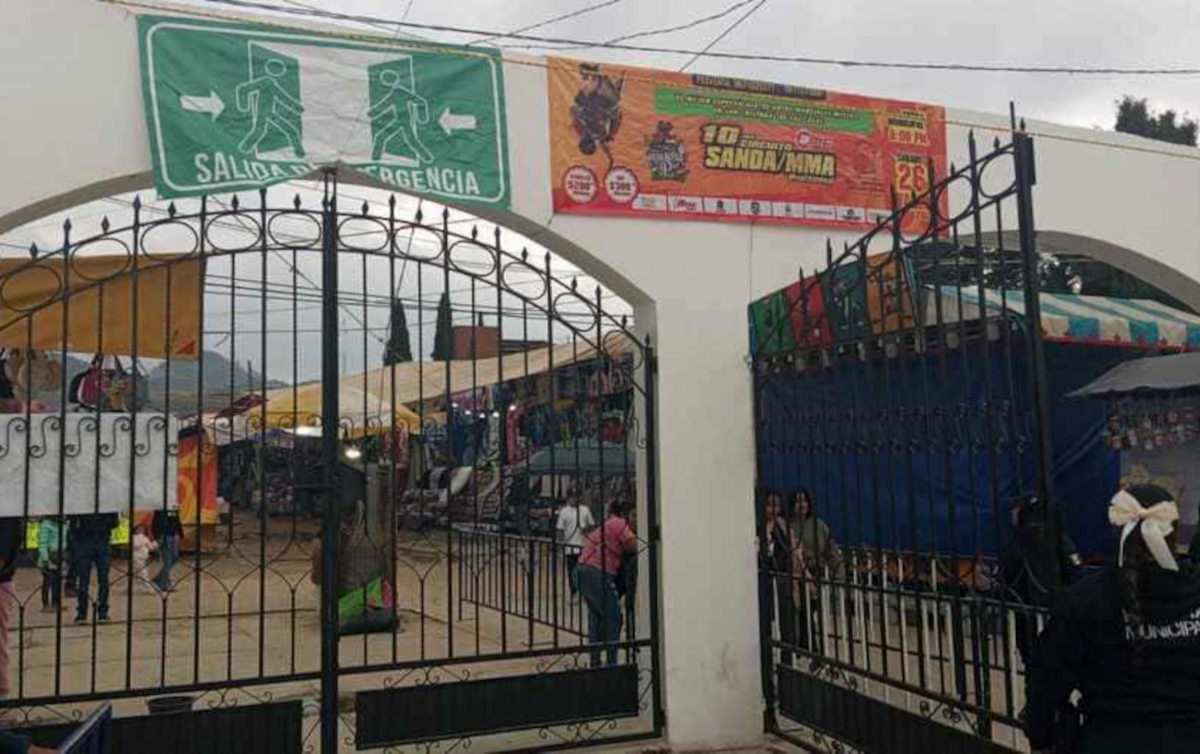 tianguiscoleto041225