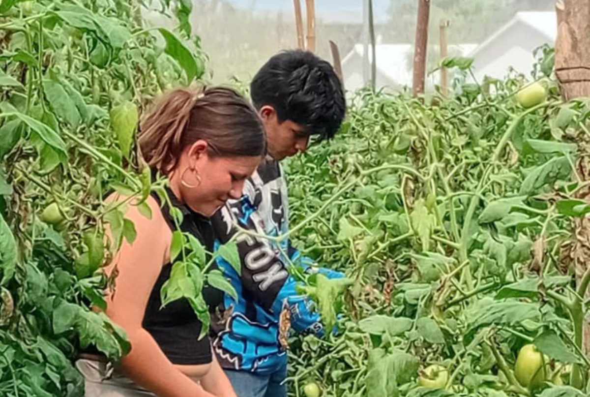 Cecytech impulsa la formación técnica con prácticas agrícolas
