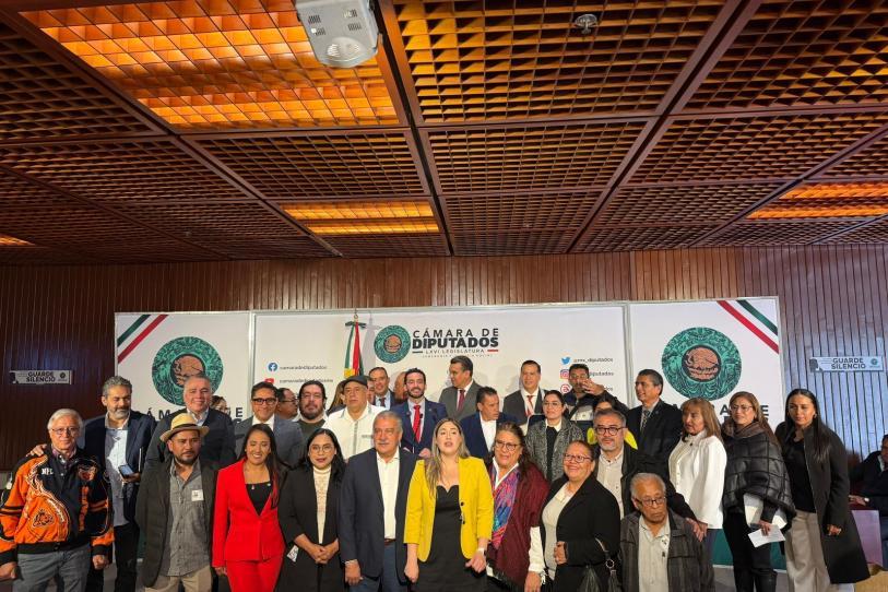 diputadosvsabusosaseg050226