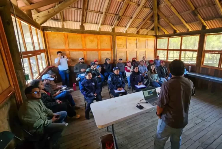 Fortalecen atención a fauna silvestre con capacitación interinstitucional en SCLC