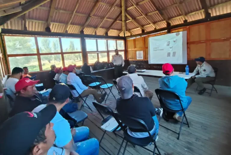 Fortalecen sanidad forestal en San Cristóbal