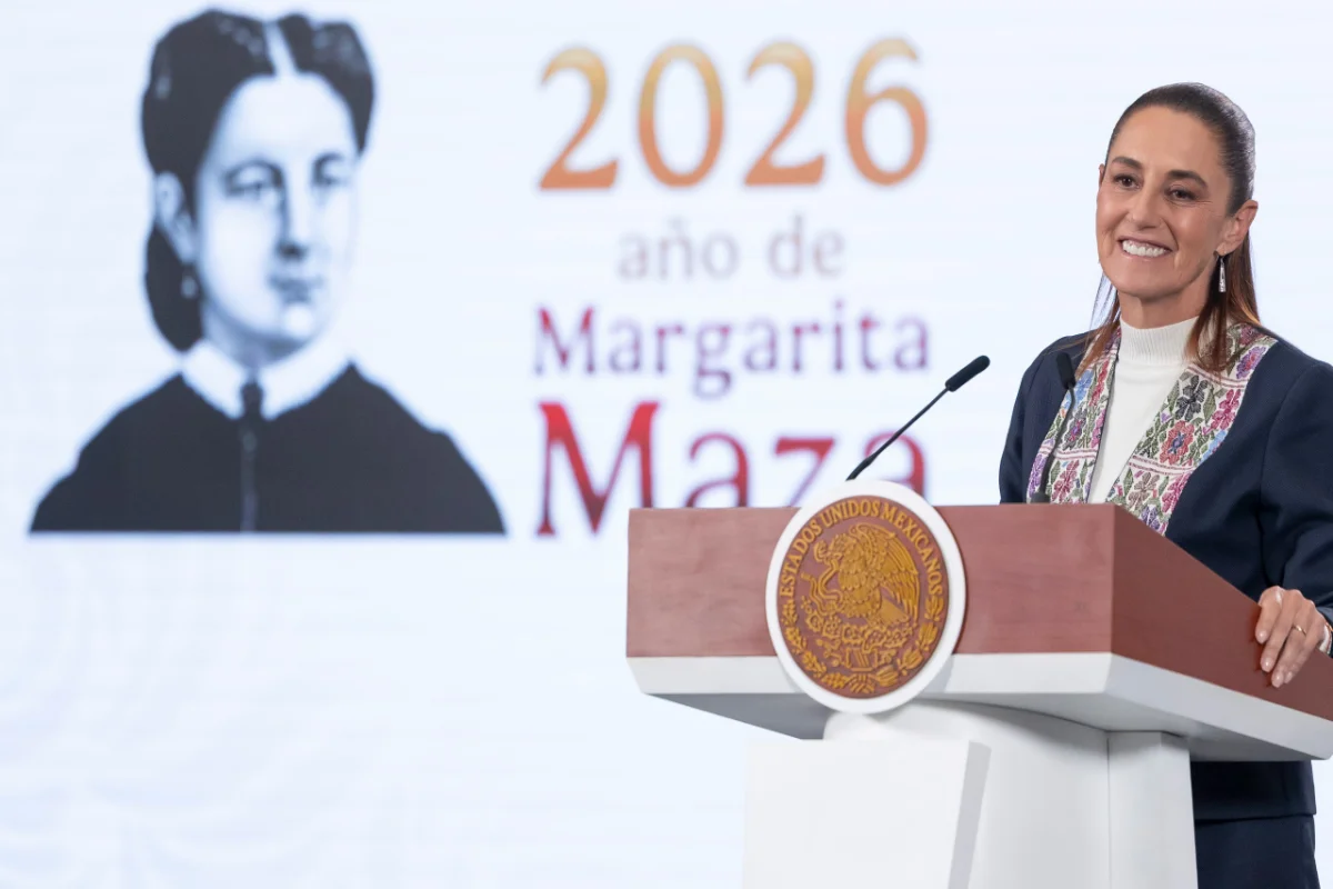 sheinreformaelectoral260226