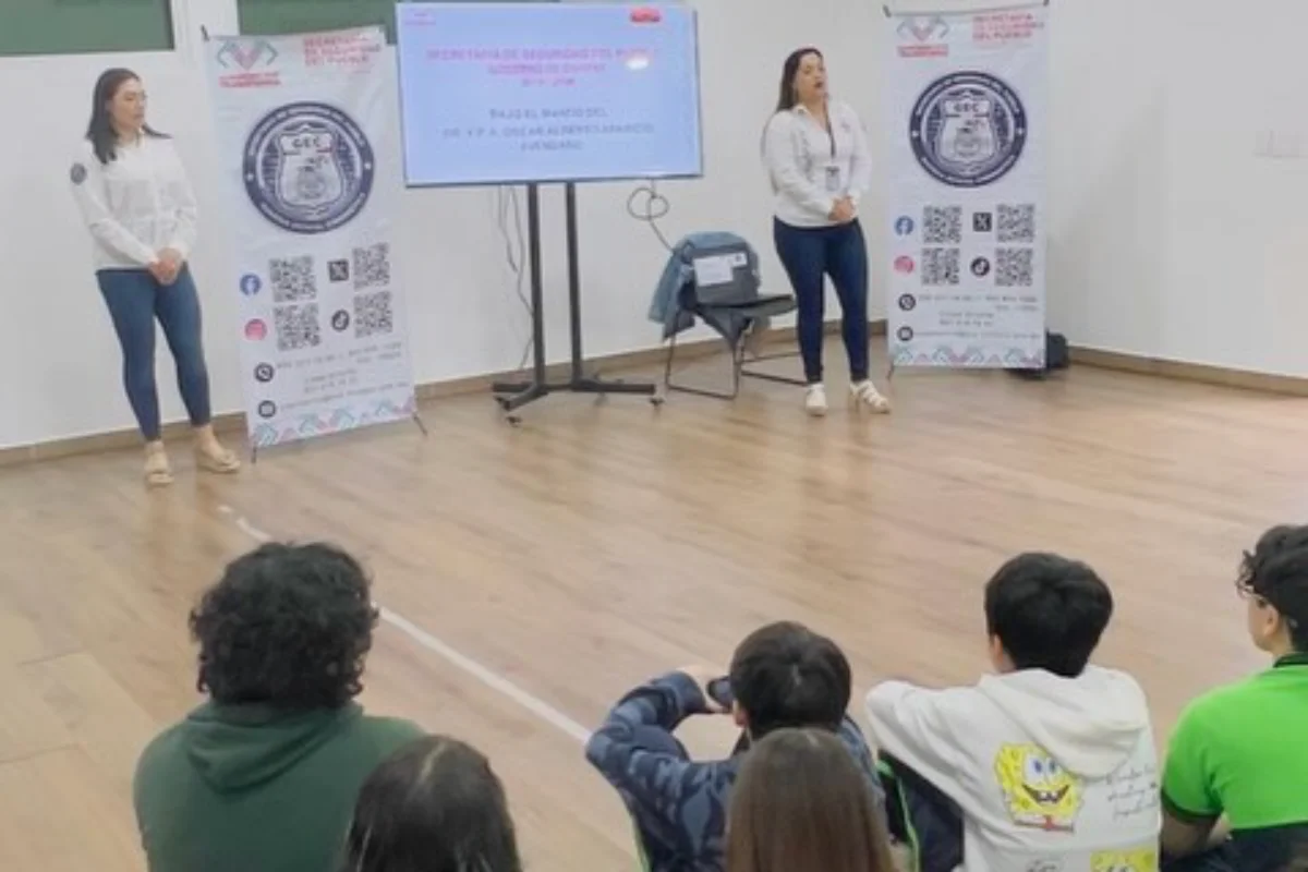 sspdelitosciberneticos260226