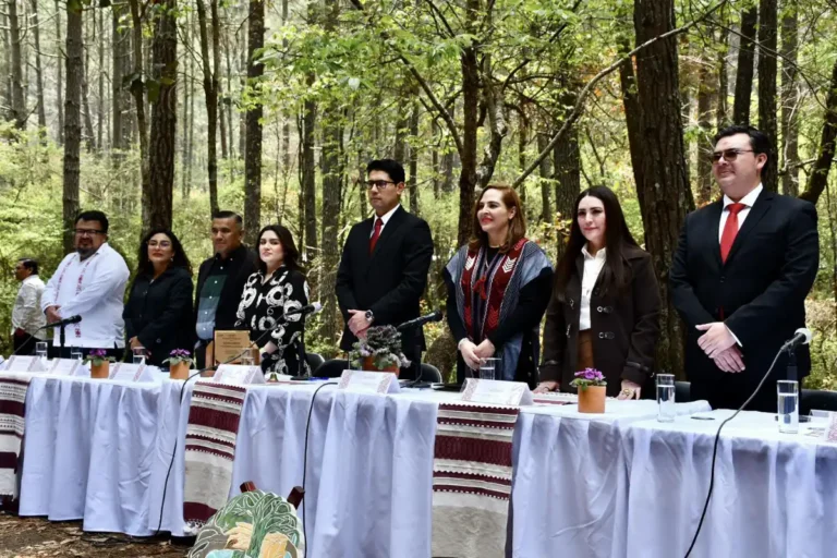 Reconocen a comunidad de La Albarrada por preservar 500 hectáreas de bosque en SCLC