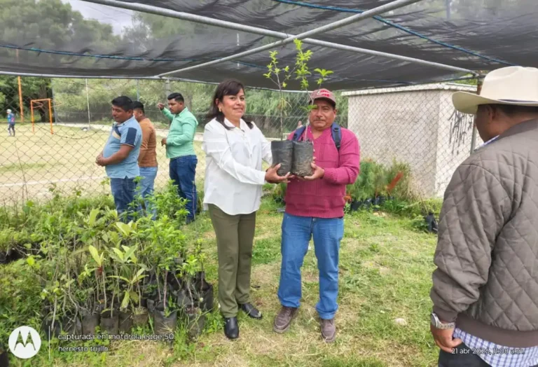 Impulsa Ayuntamiento de SCLC fortalecimiento productivo con entrega de plantas frutales