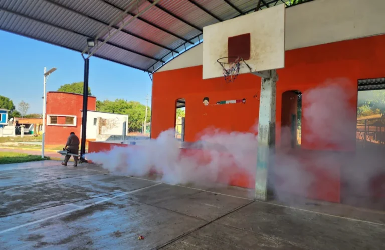 Chiapas registra 76 % de reducción en casos de dengue
