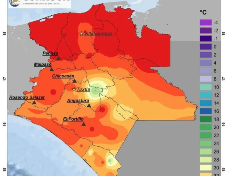 Deforestación, clave para que temperaturas sean más extremas