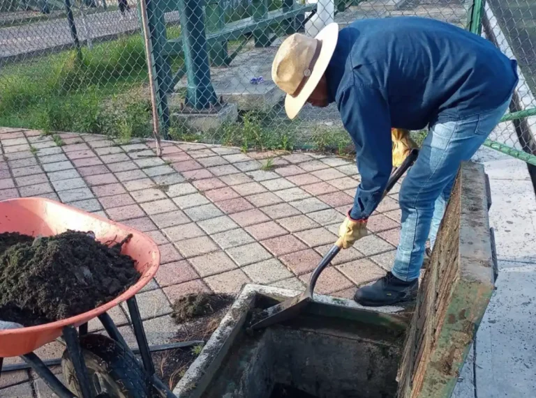 Limpieza preventiva en Sedem