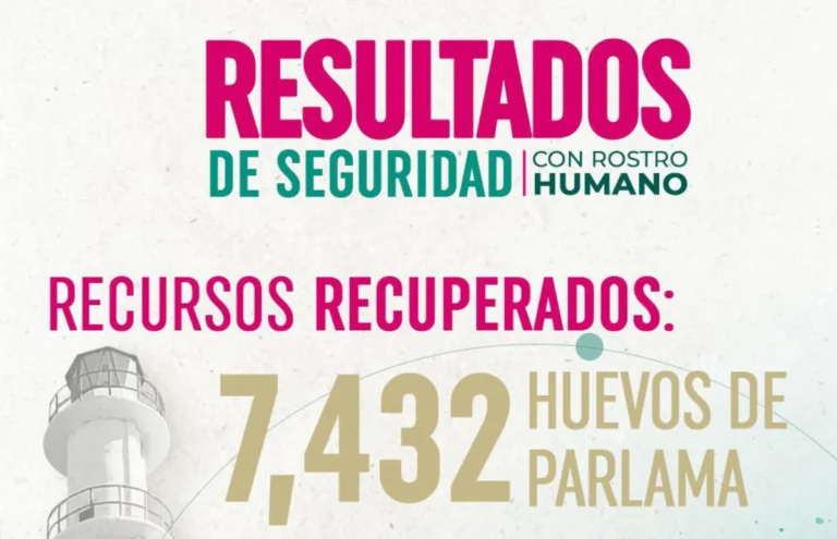 SSP recupera más de 7 mil huevos de parlama y fortalece la protección ambiental en Chiapas