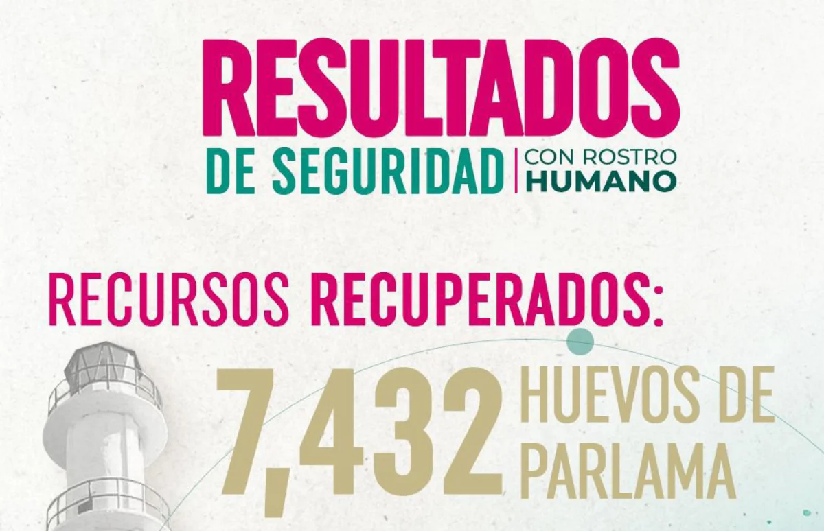 ssphuevosparlama120526
