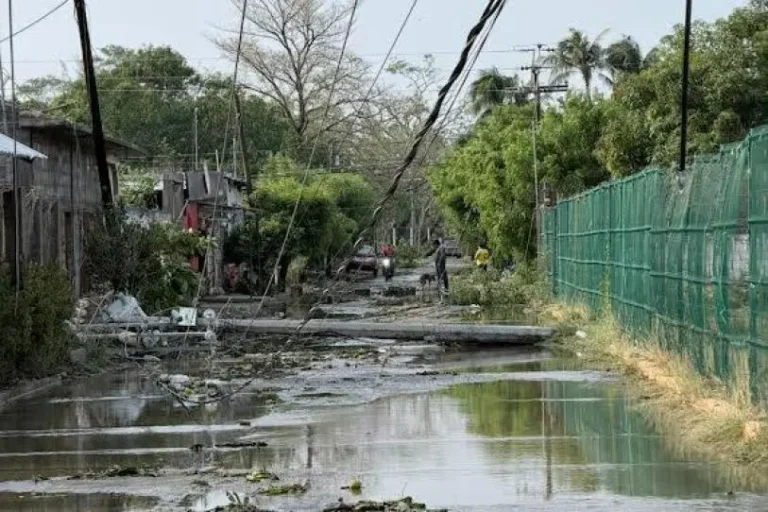 Tromba en Oaxaca provoca caída de postes de luz y árboles