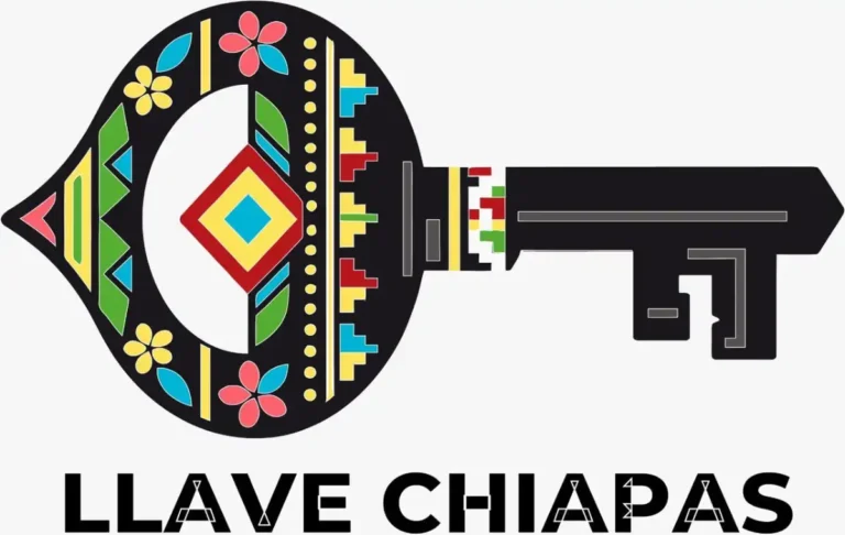 Chiapas consolida la innovación tecnológica con soluciones desarrolladas por talento estatal