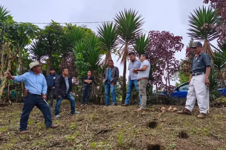 Continúan acciones en favor de la cafeticultura de la zona alta de Tapachula