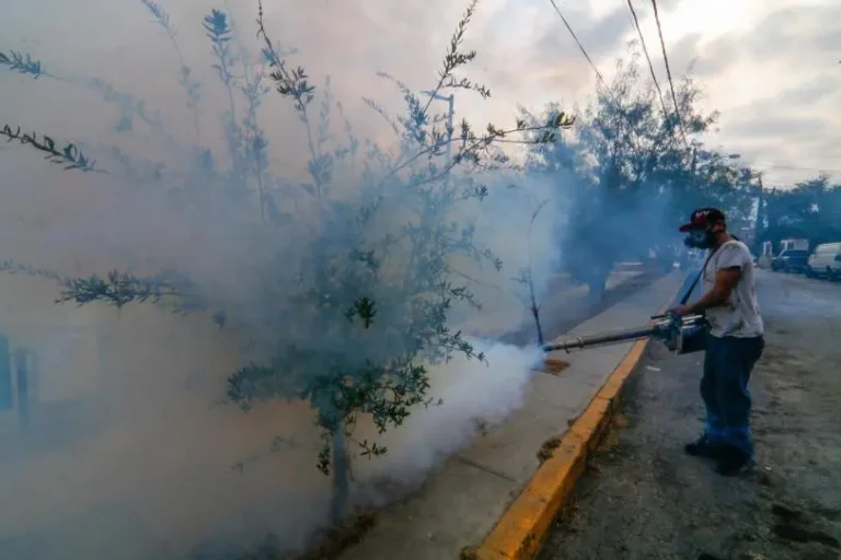 Aumentan a 2 mil 703 los casos de dengue en México