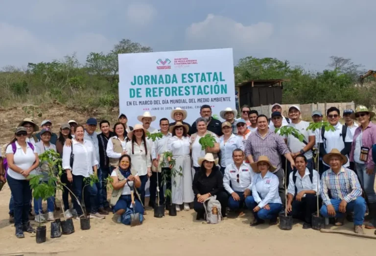 Municipios de Chiapas se unen por la restauración ambiental con Jornada Simultánea de Reforestación