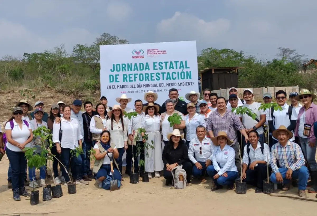jornadasimultaneareforest050626