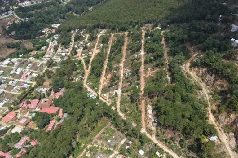 Ayuntamiento de San Cristóbal refuerza protección ambiental
