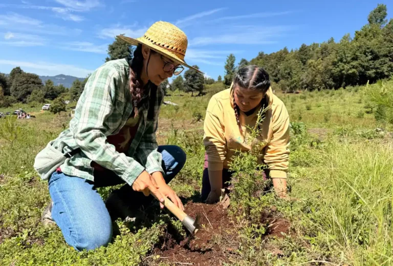 Más de 600 árboles fortalecen la conservación del Valle de Jovel en jornada de reforestación